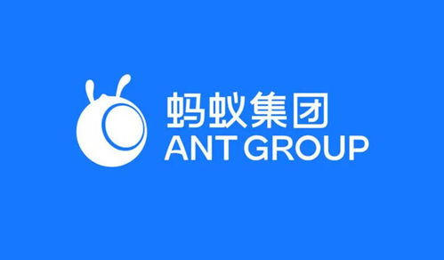 螞蟻集團(tuán)在渝成立數(shù)字天螞公司，注冊(cè)資本1億元加碼網(wǎng)絡(luò)技術(shù)服務(wù)